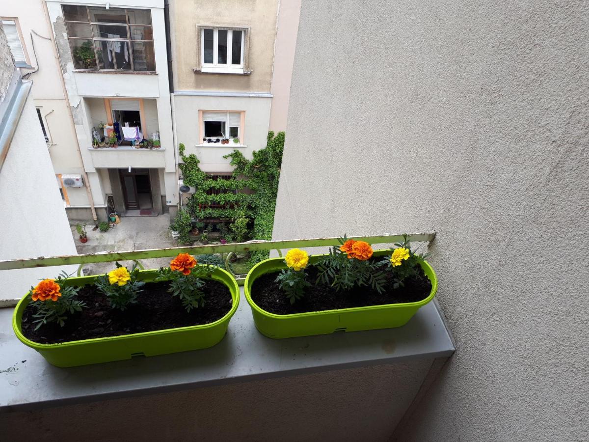 Cozy Hikers Flat Lägenhet Belgrad Exteriör bild